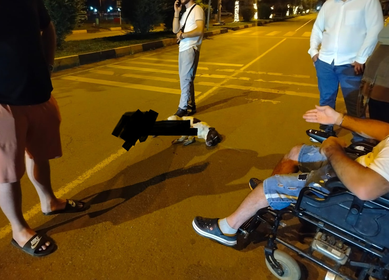 Yolda yatan köpeğe çarpıp kaçtı